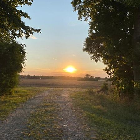 Gut Koselau Landhaus II Kültér fotó