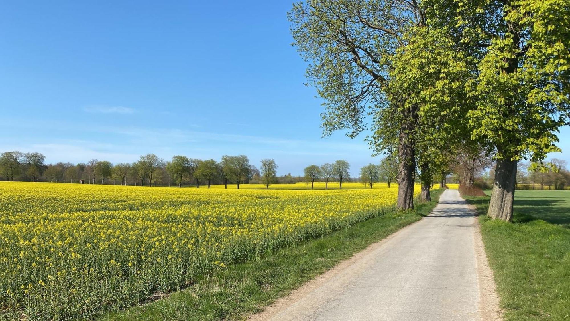 Gut Koselau Landhaus II Kültér fotó