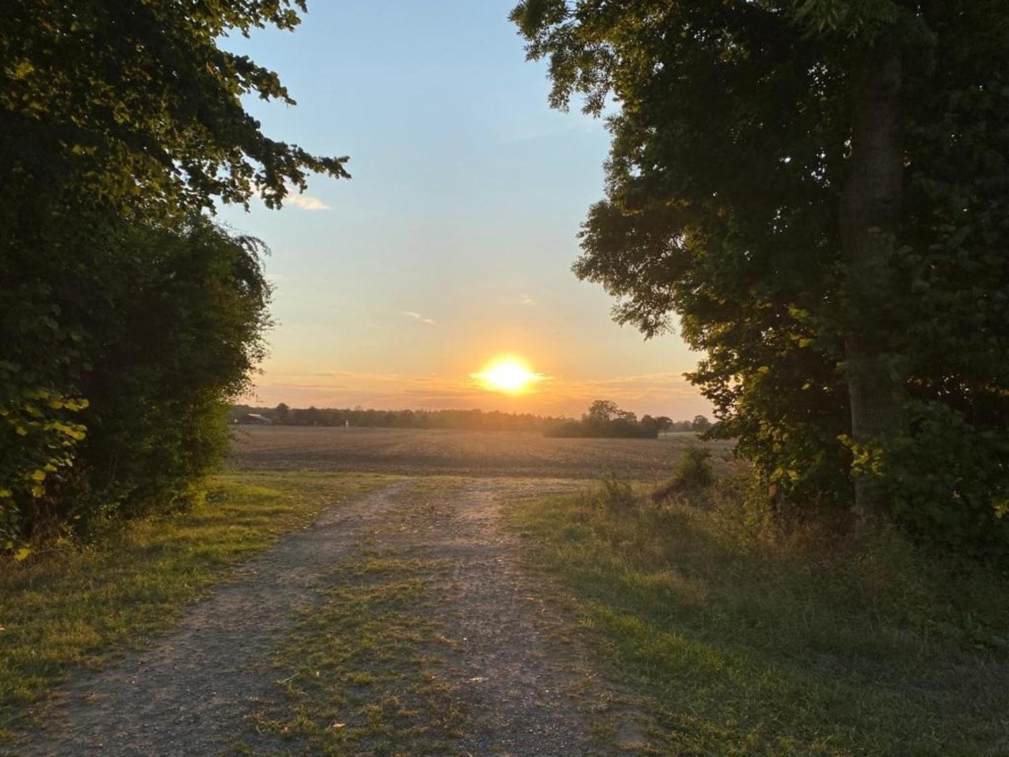 Gut Koselau Landhaus II Kültér fotó